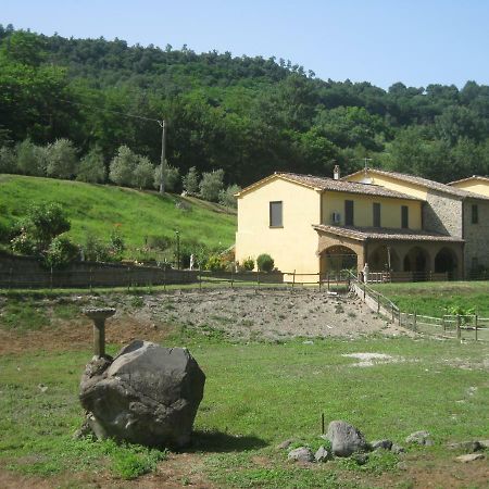 Alloggio Turistico Mooneyes Apartment Castiglione In Teverina Exterior photo
