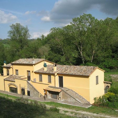Alloggio Turistico Mooneyes Apartment Castiglione In Teverina Exterior photo