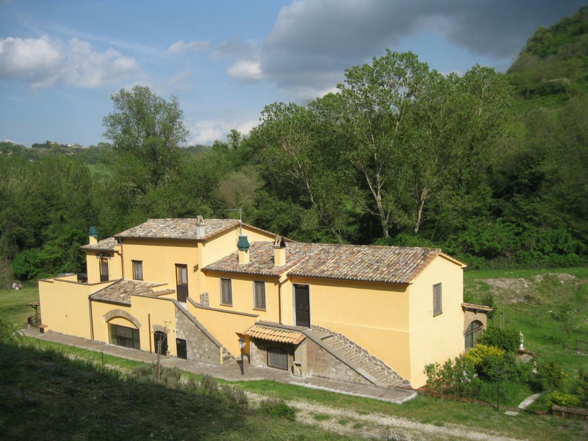 Alloggio Turistico Mooneyes Apartment Castiglione In Teverina Exterior photo
